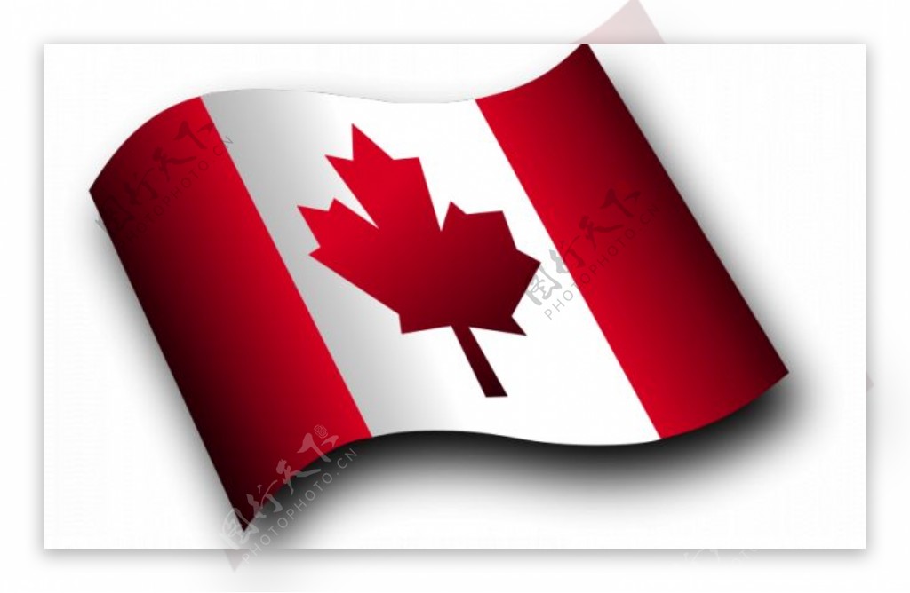 加拿大的国旗挥舞矢量图像