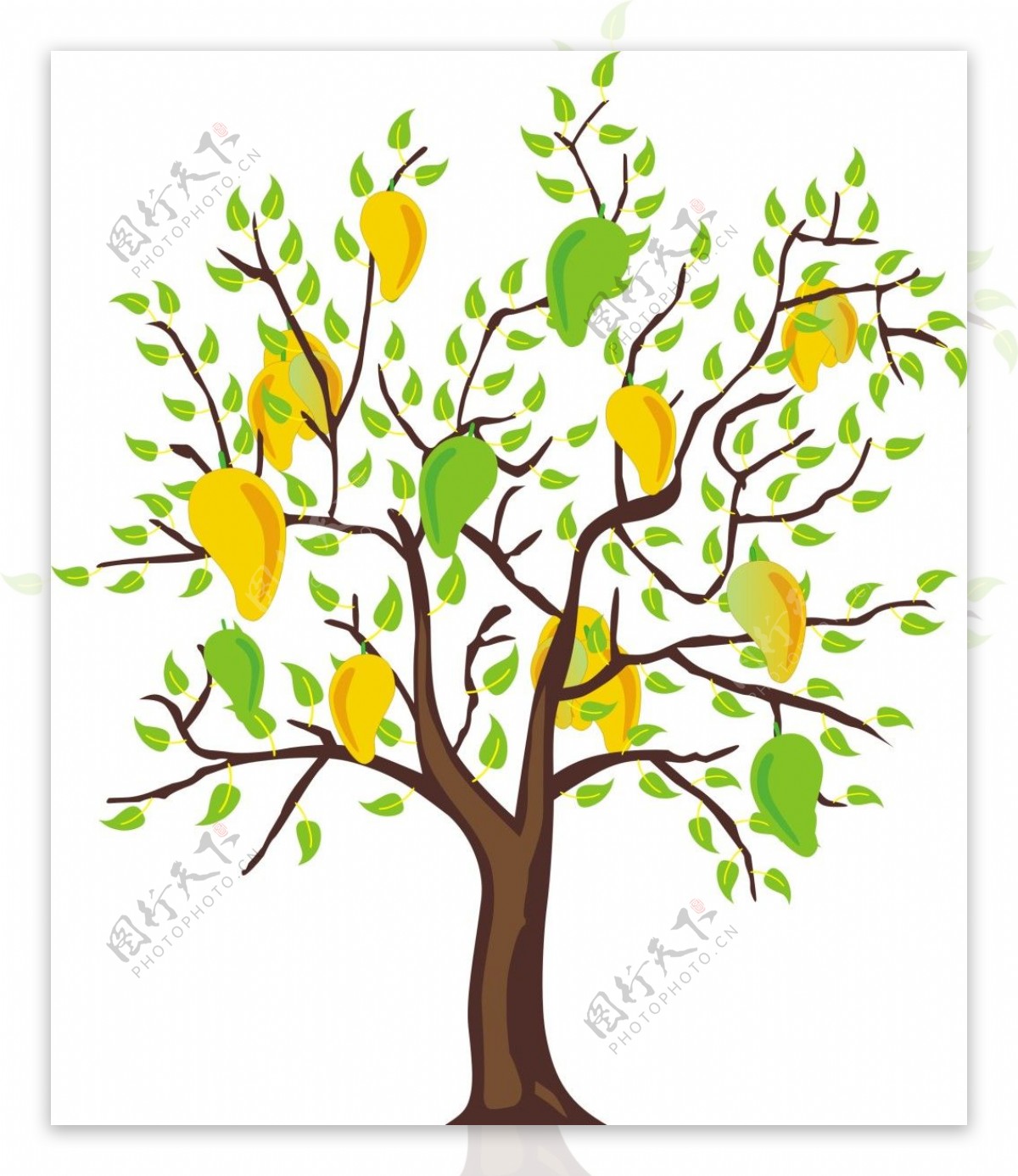 成熟的芒果树flash植物素材__动画素材_Flash动画_多媒体图库_昵图网nipic.com