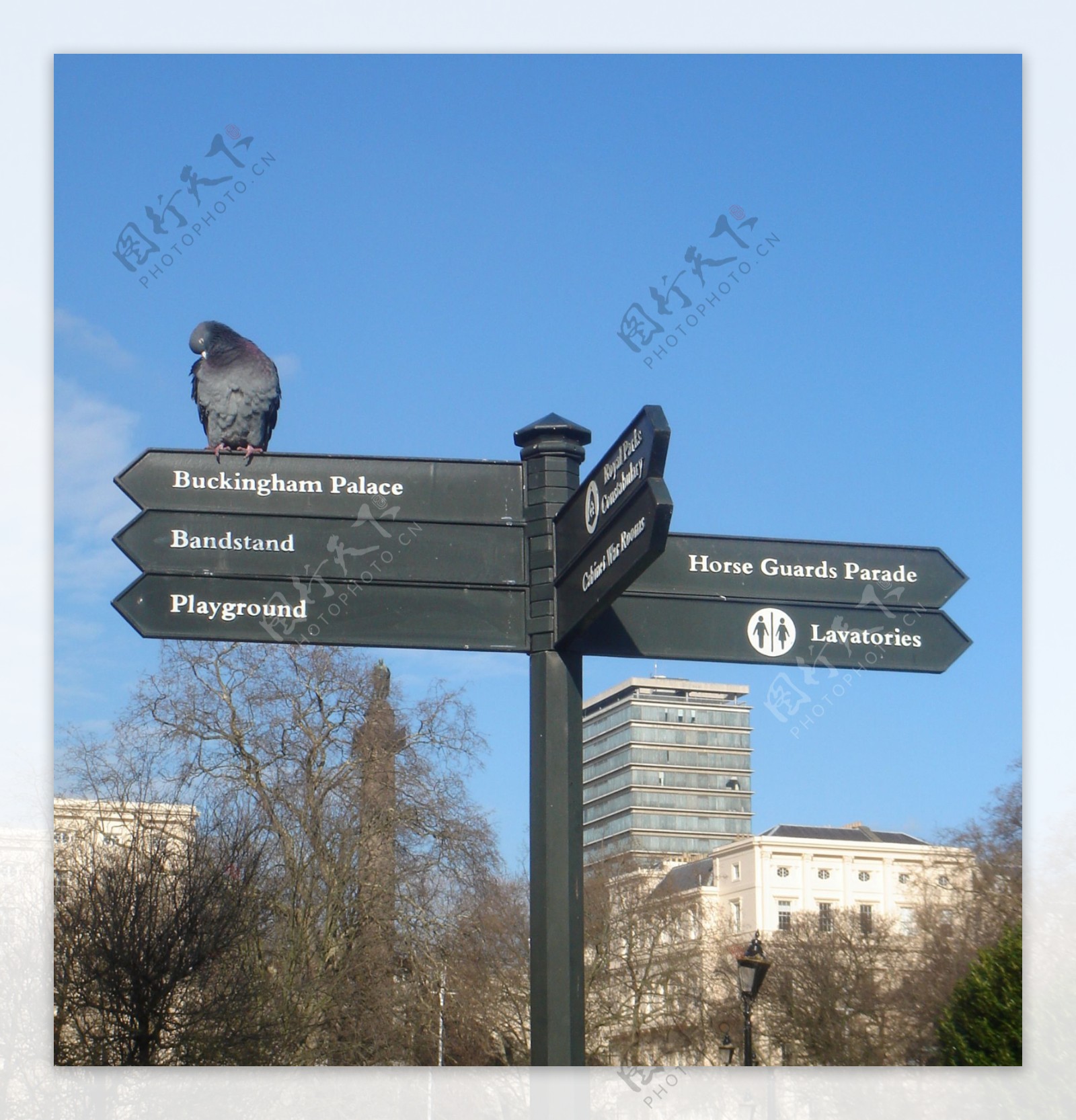 英国街道指示牌图片