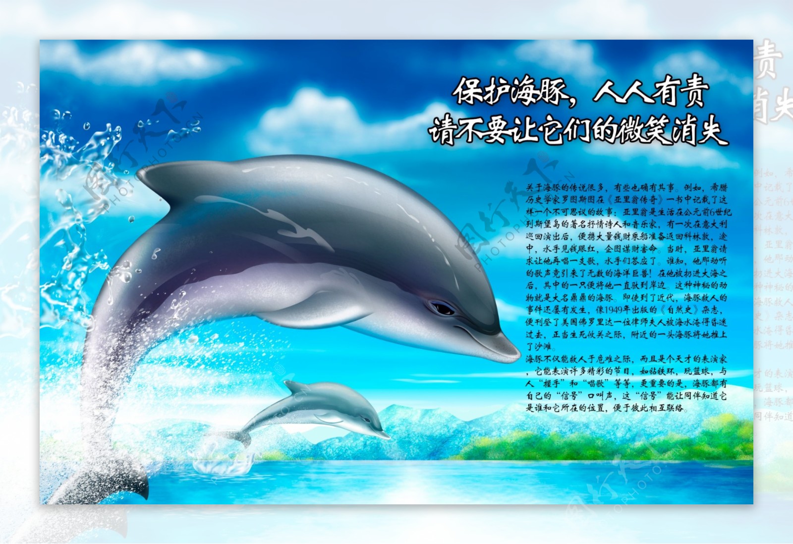 保护海豚宣传海报