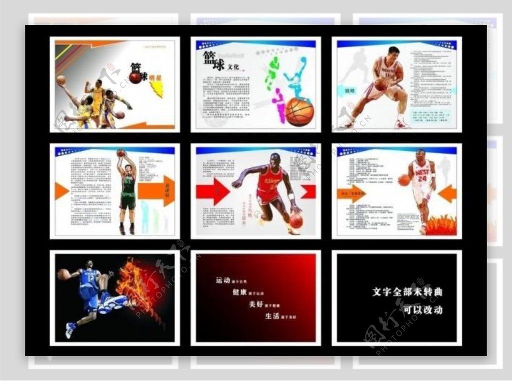 篮球明星手册图片