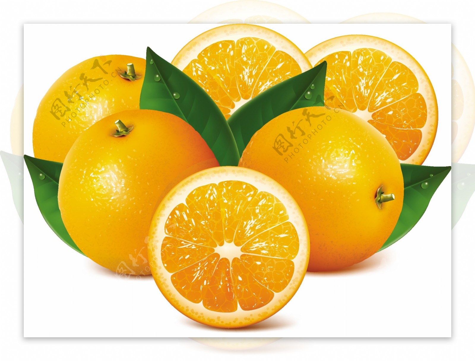 橙子桔子图片