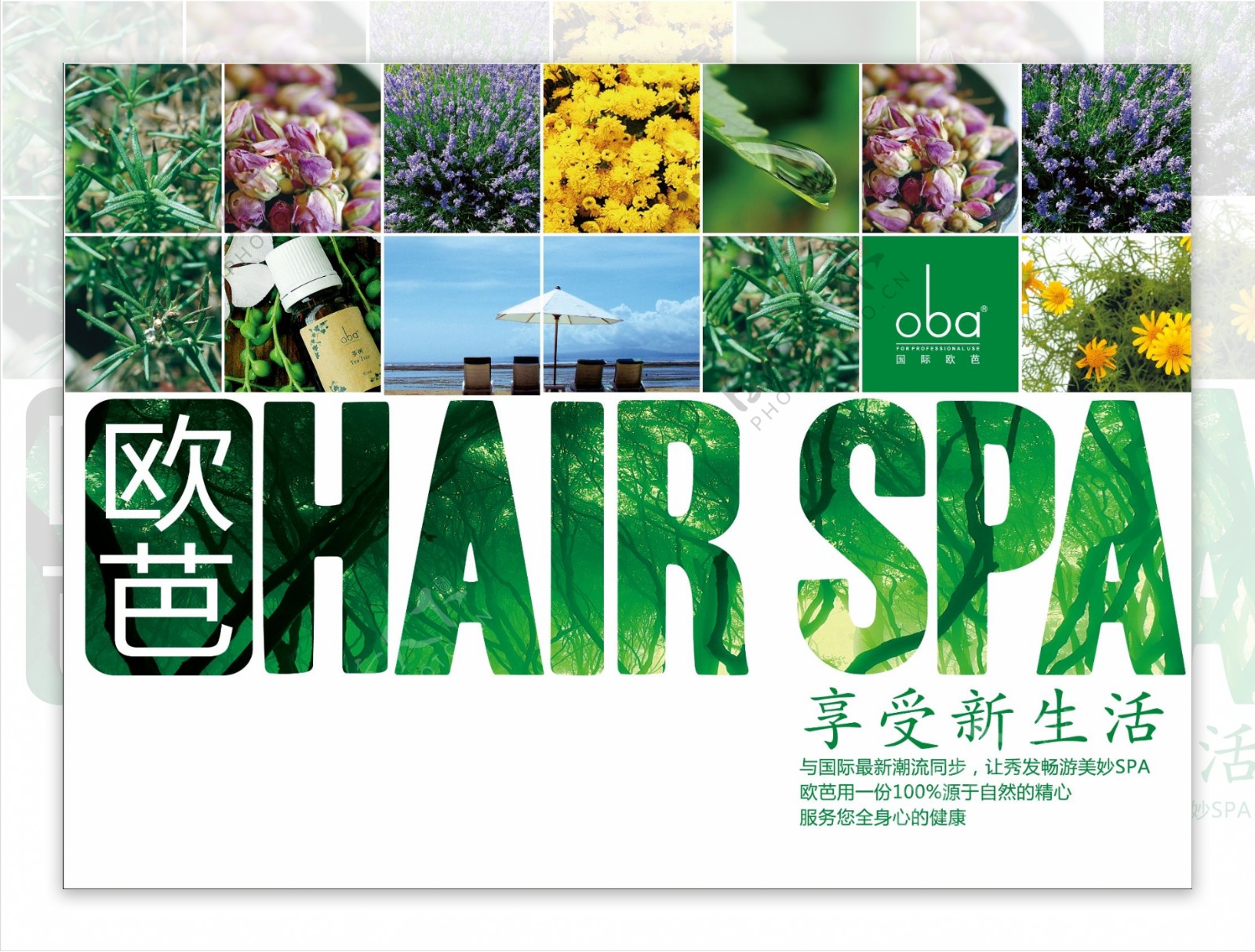 hairspa海报图片