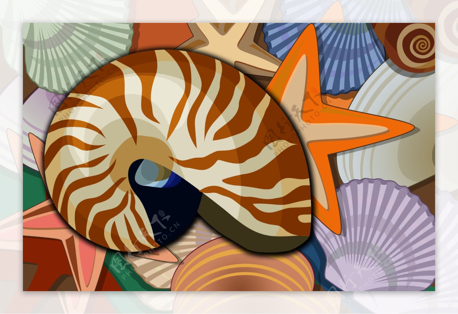 海洋生物海螺贝壳海星psd分层素材