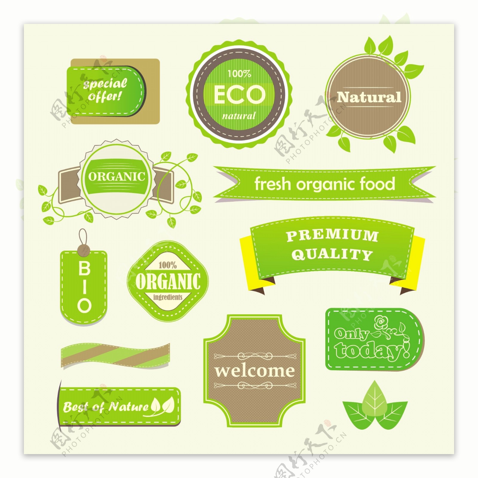 清新的绿色食品标签矢量素材
