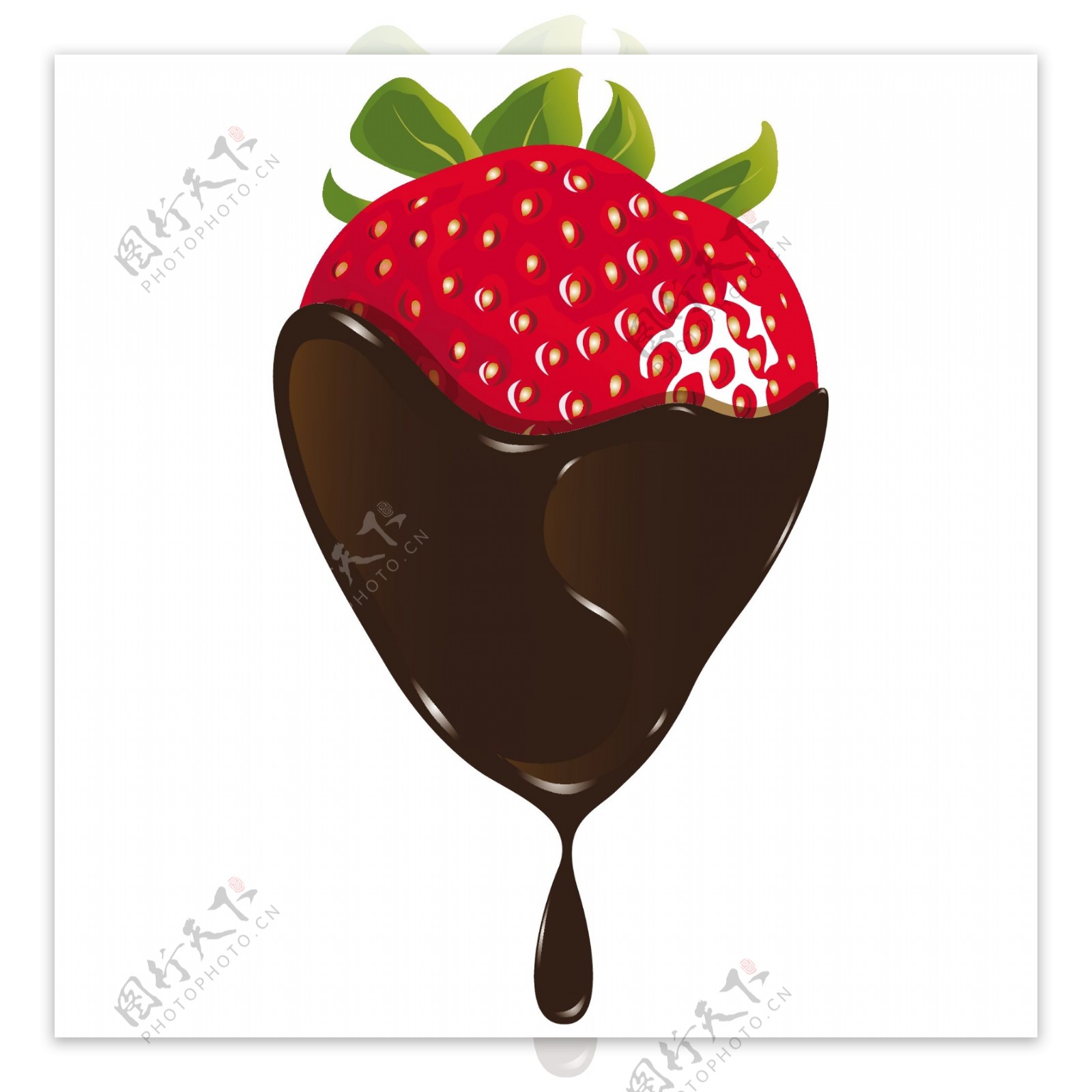 矢量水果草莓巧克力图片