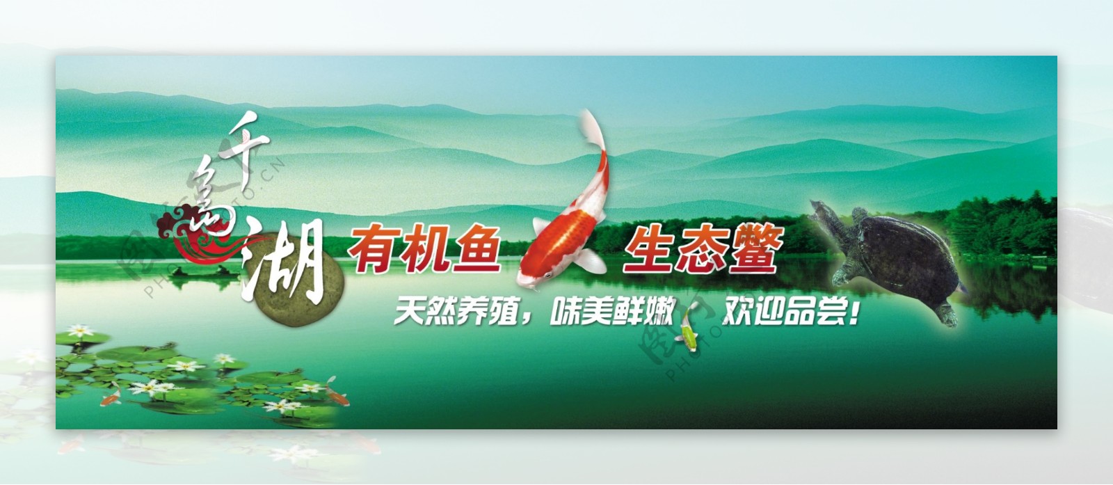 龙腾广告平面广告PSD分层素材源文件食品海鲜千岛湖鱼鳖