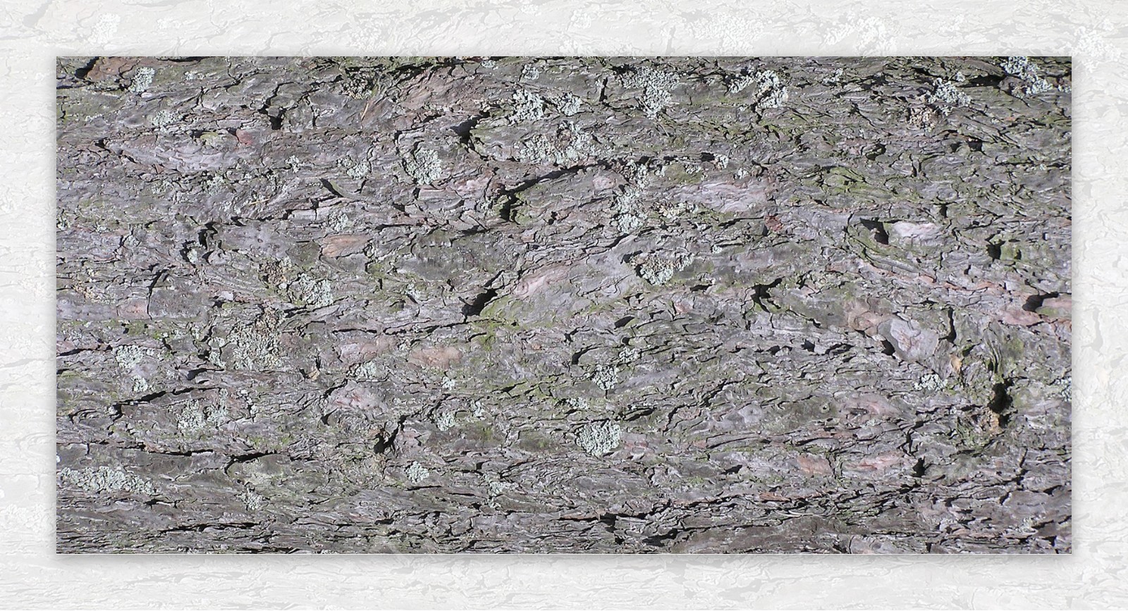木材木纹国外经典木纹效果图3d素材203