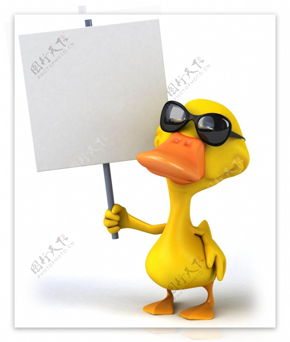 3D小黄鸭举牌照图片