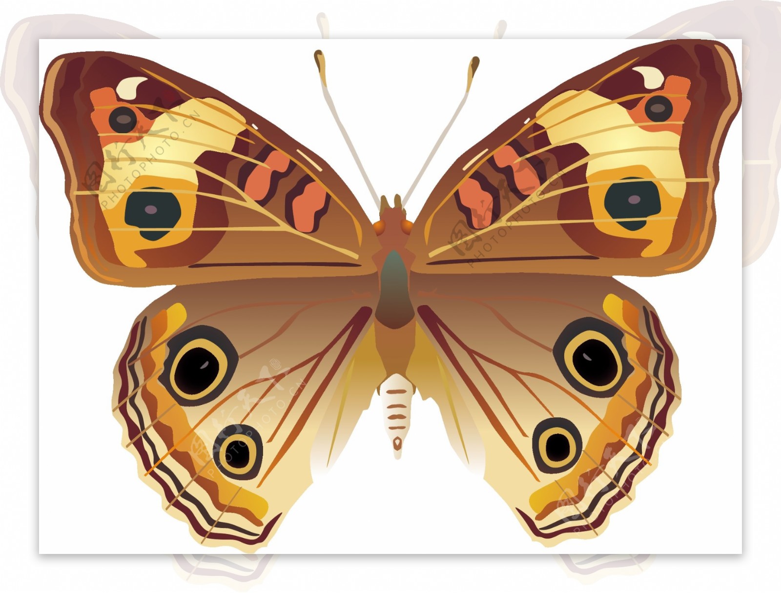 印花矢量图动物蝴蝶色彩橙色免费素材