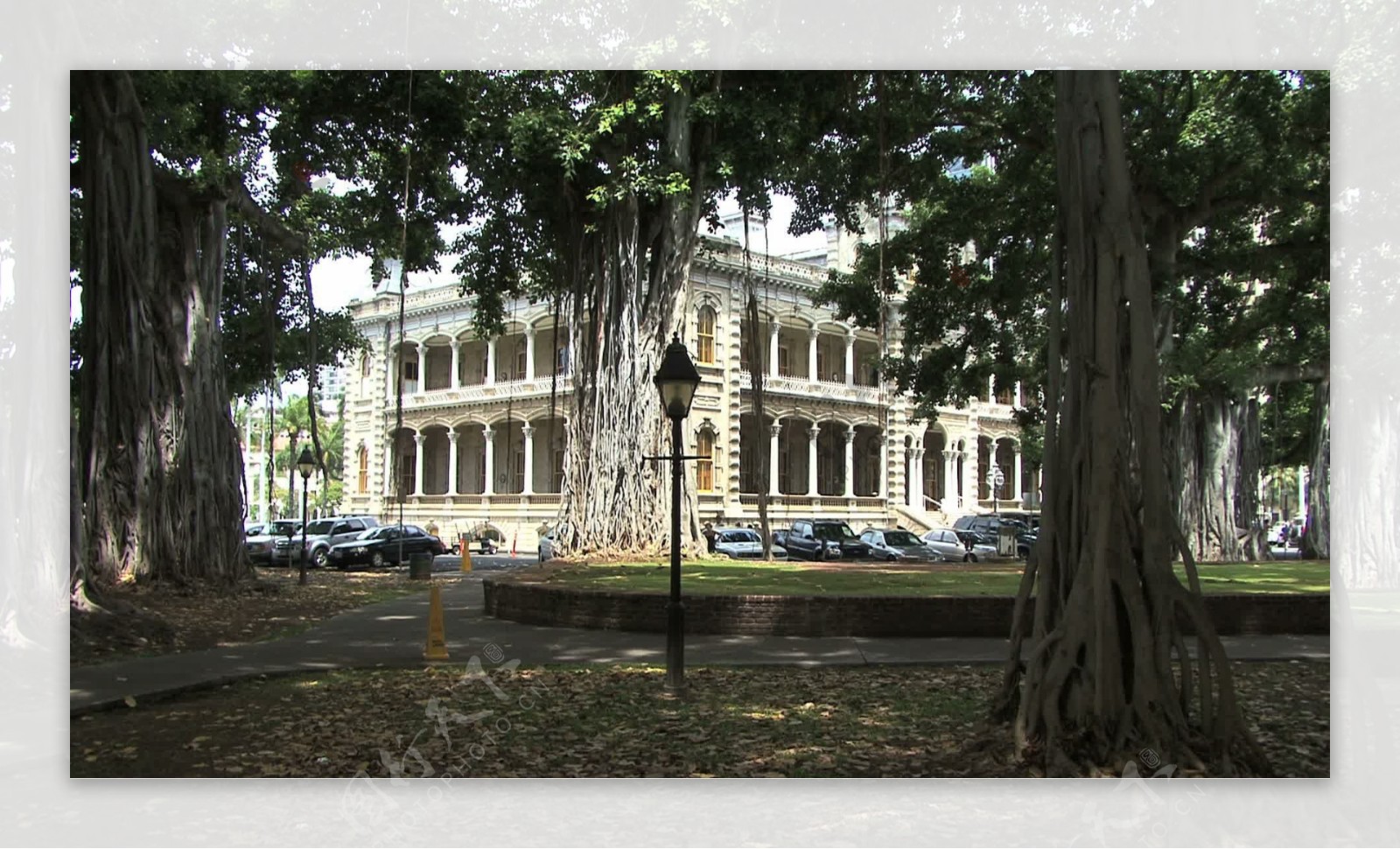 火奴鲁鲁尼皇宫和榕树树股票视频视频免费下载