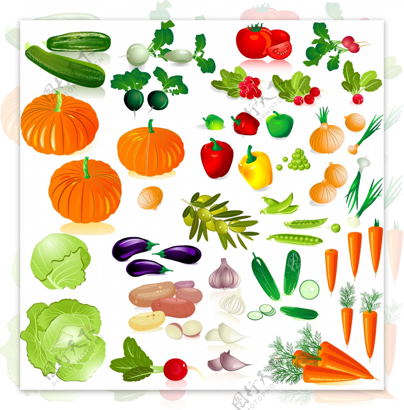 蔬菜图像02矢量素材