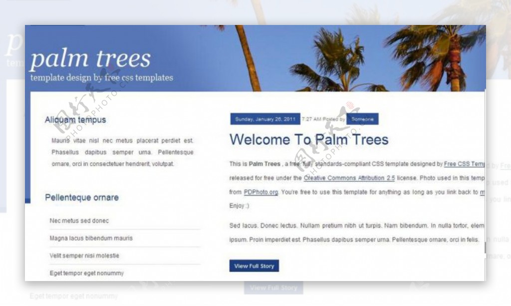 椰树风格BLOG网页模板