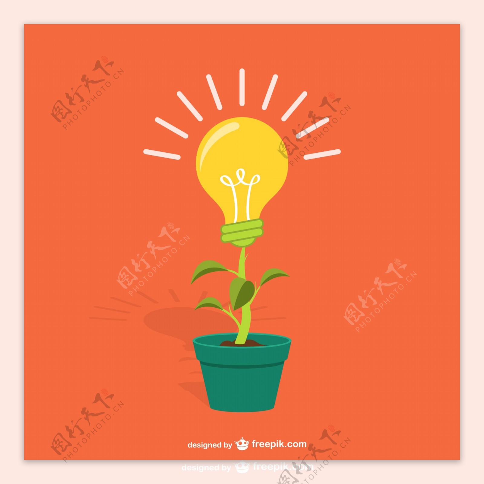 植物灯泡