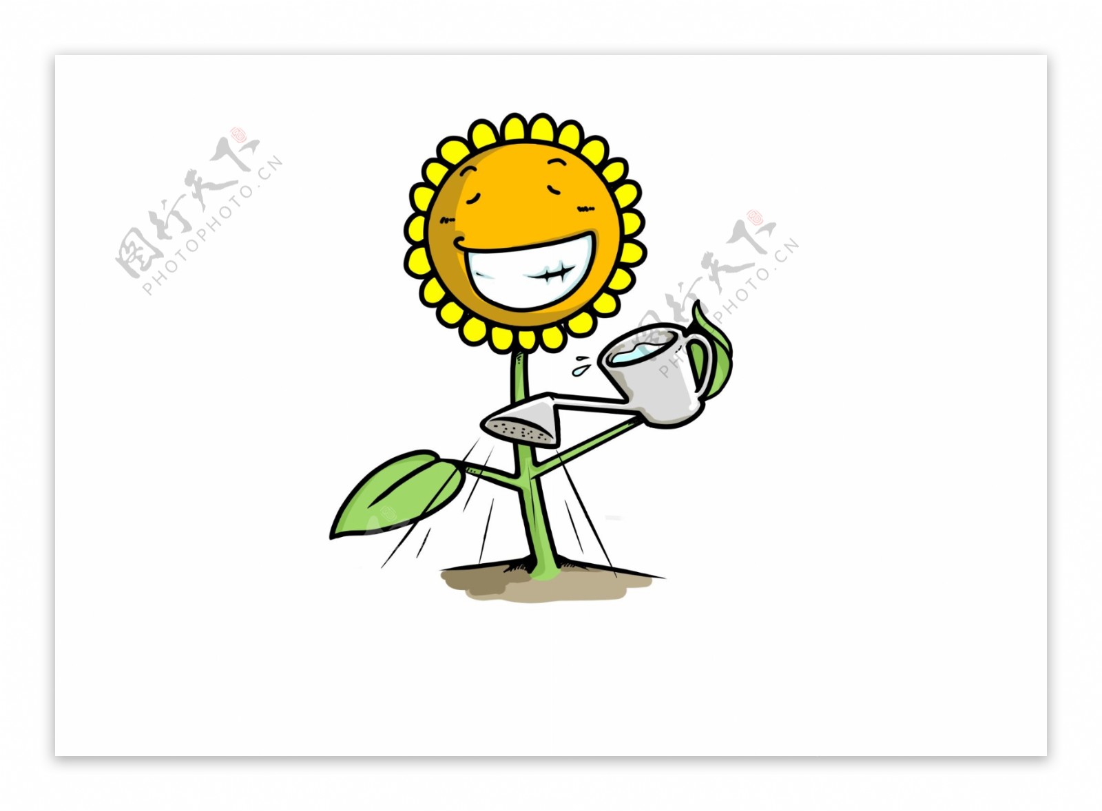 金秋的向日葵，金灿灿的笑脸迎着阳光。给人传递一种乐观的精神|笑脸|精神|向日葵_新浪新闻