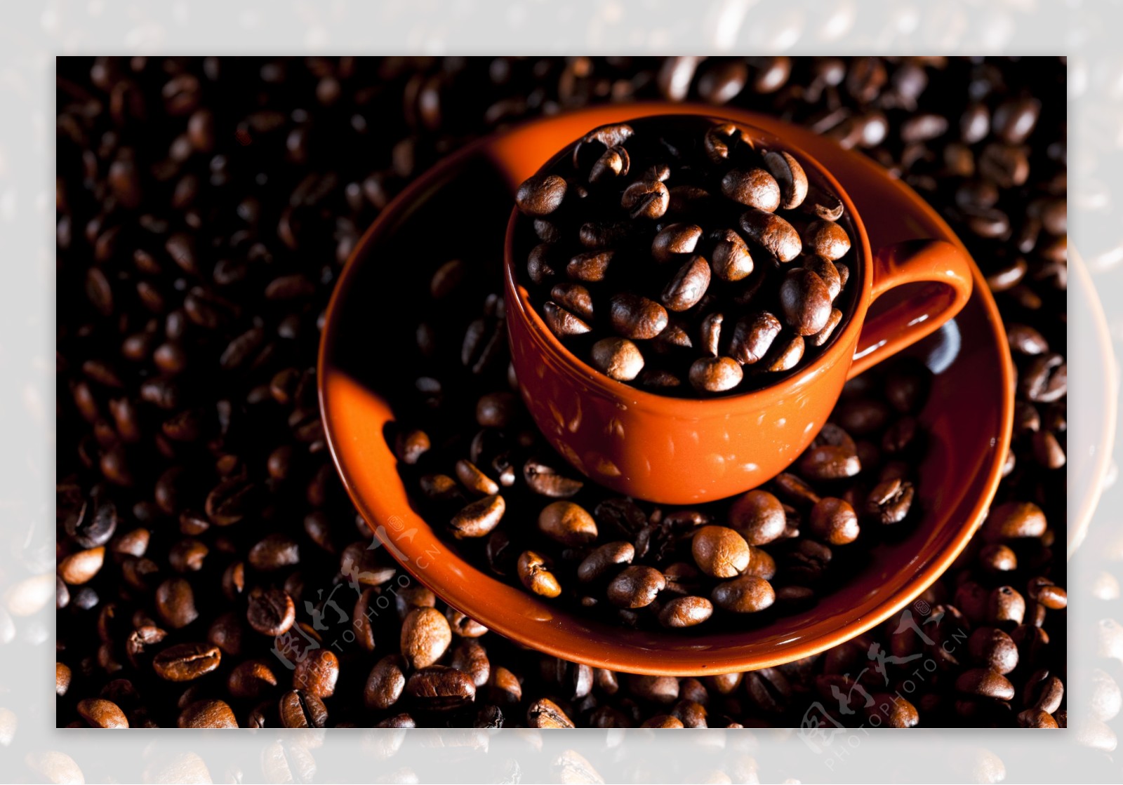 咖啡豆子图片