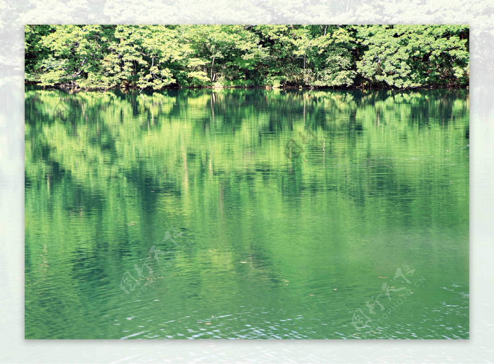 绿色山水