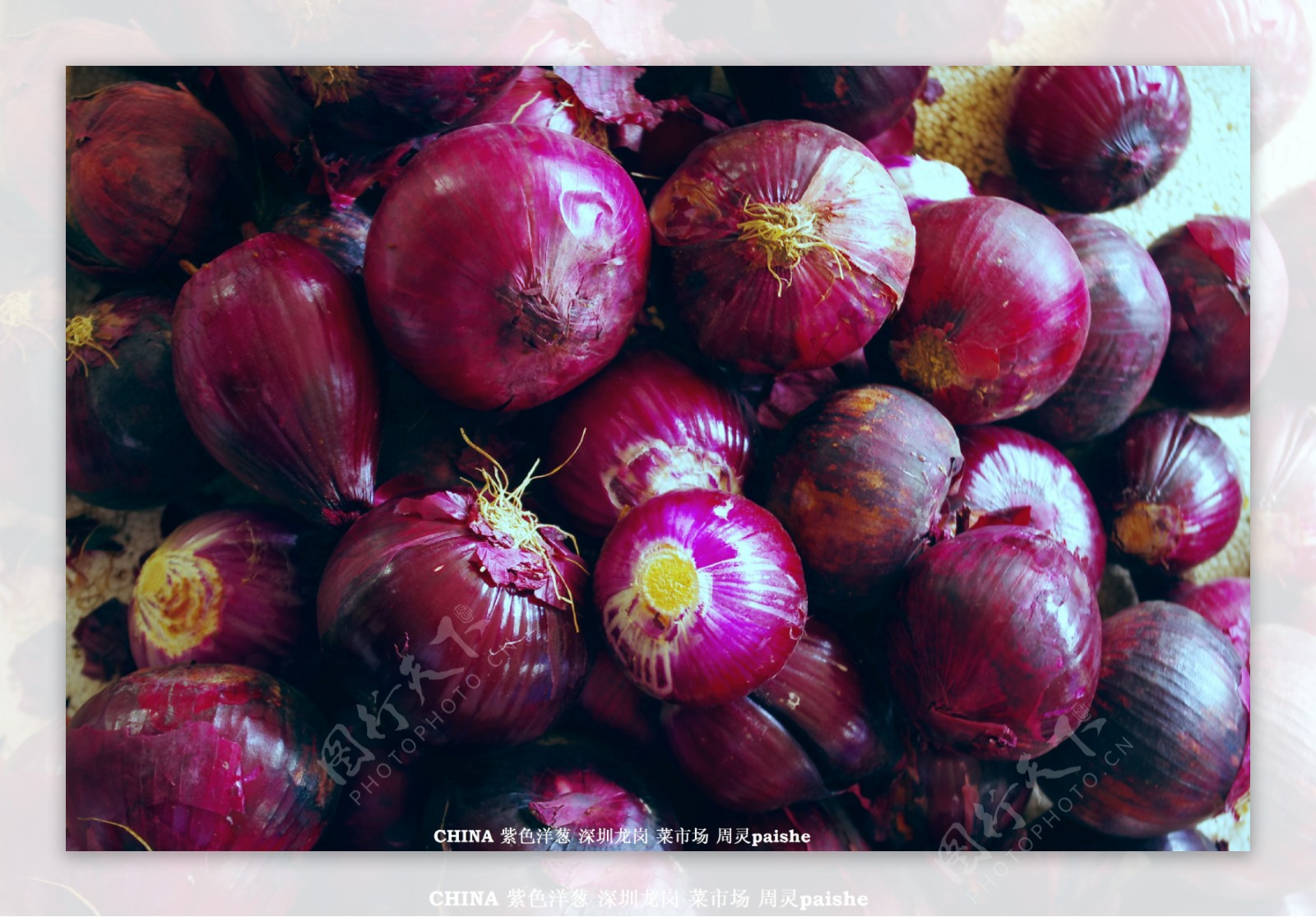 蔬菜紫色洋葱图片