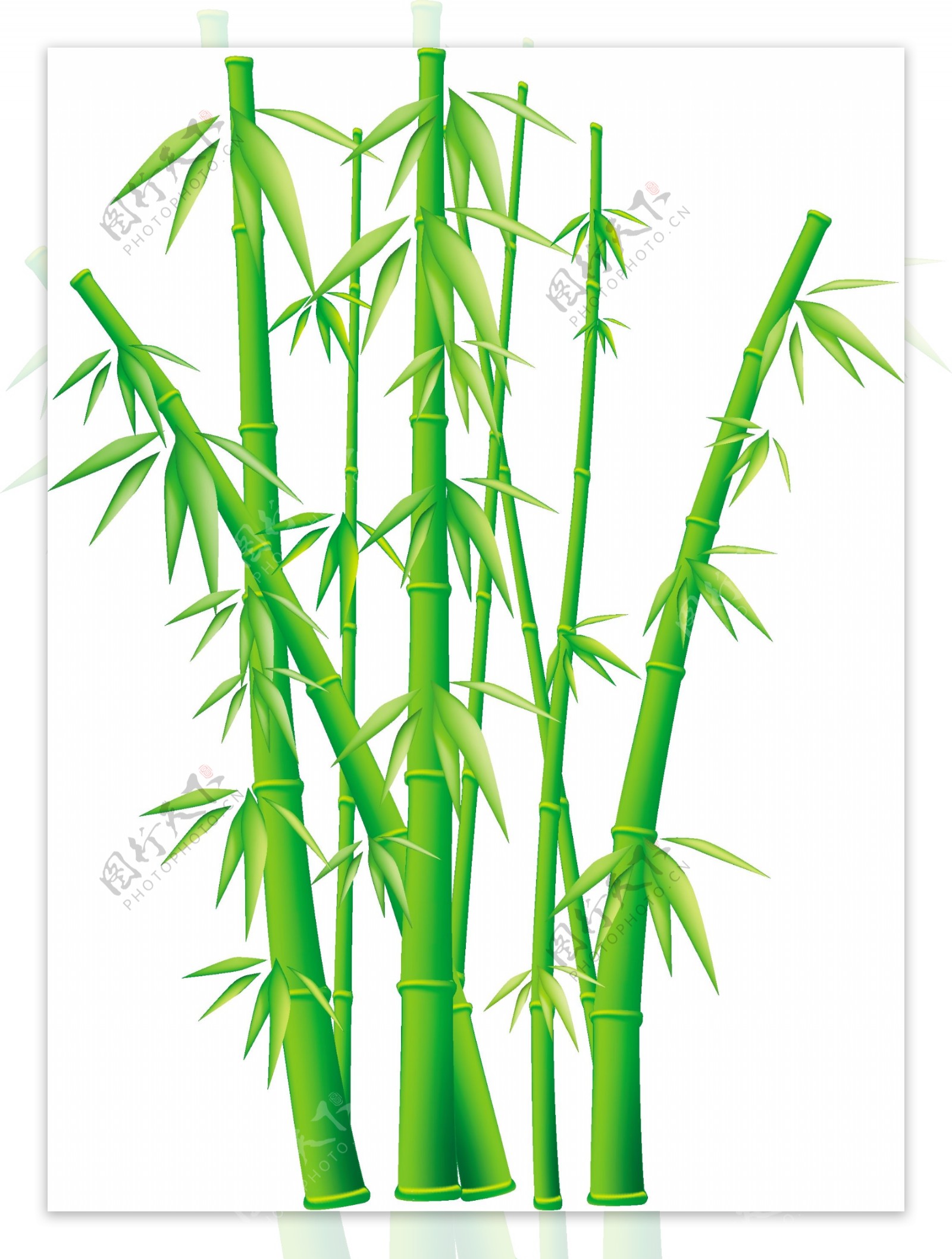 大量供应优质安吉白竹 干竹竿 竹杆 均匀美观 结实耐用-阿里巴巴