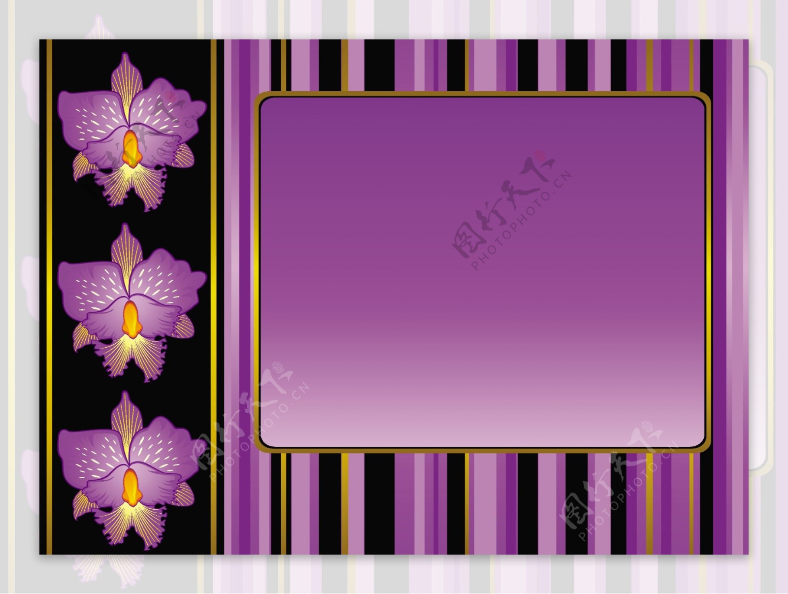 矢量图紫色鲜花装饰框