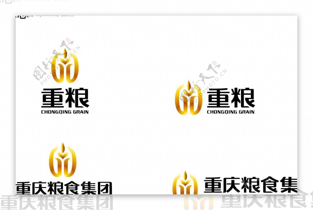 重庆粮油集团图片