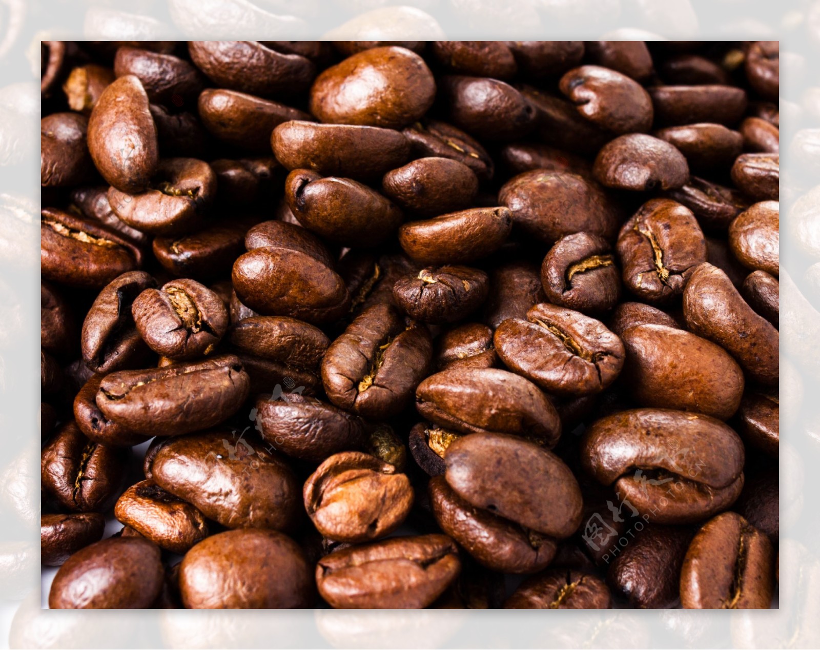 高清咖啡豆