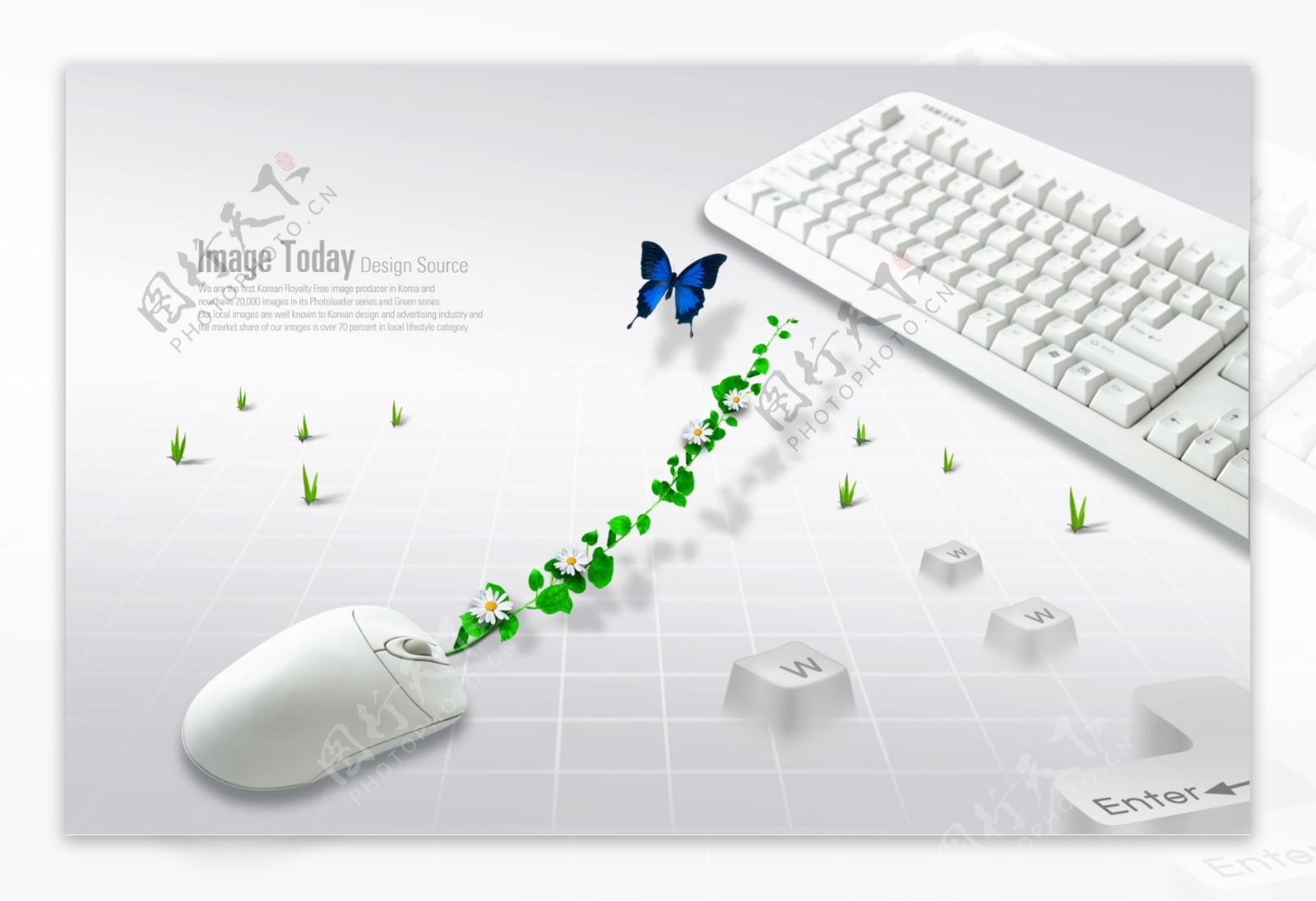 白色键盘鼠标和藤蔓