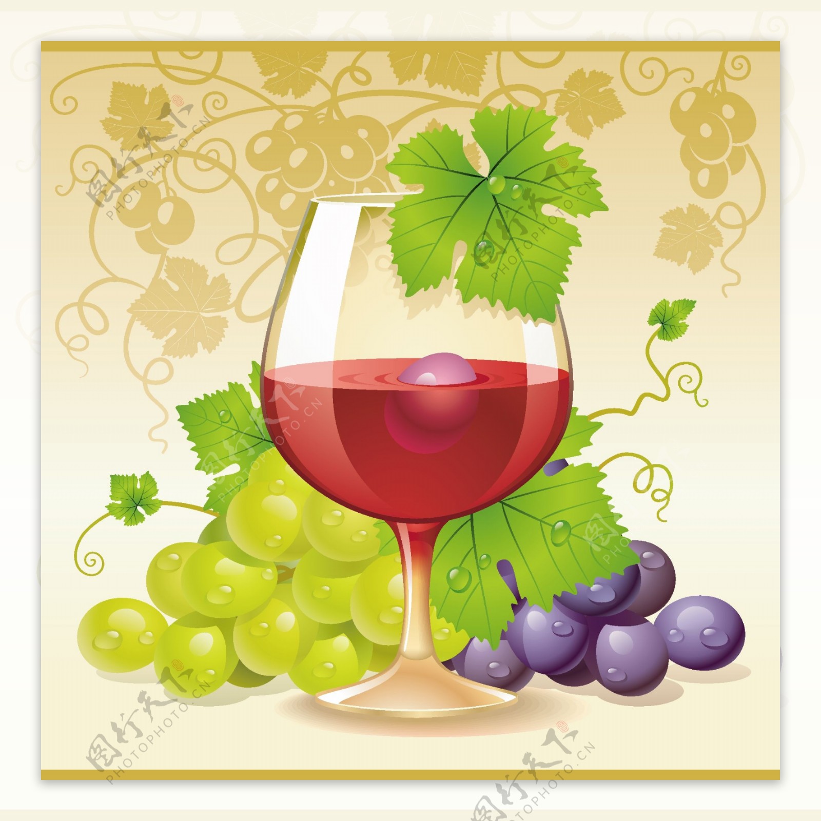 葡萄酒与葡萄矢量素材