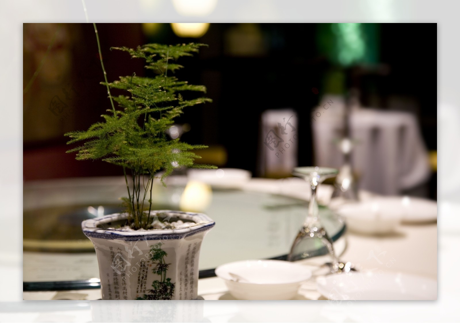 餐桌绿植图片