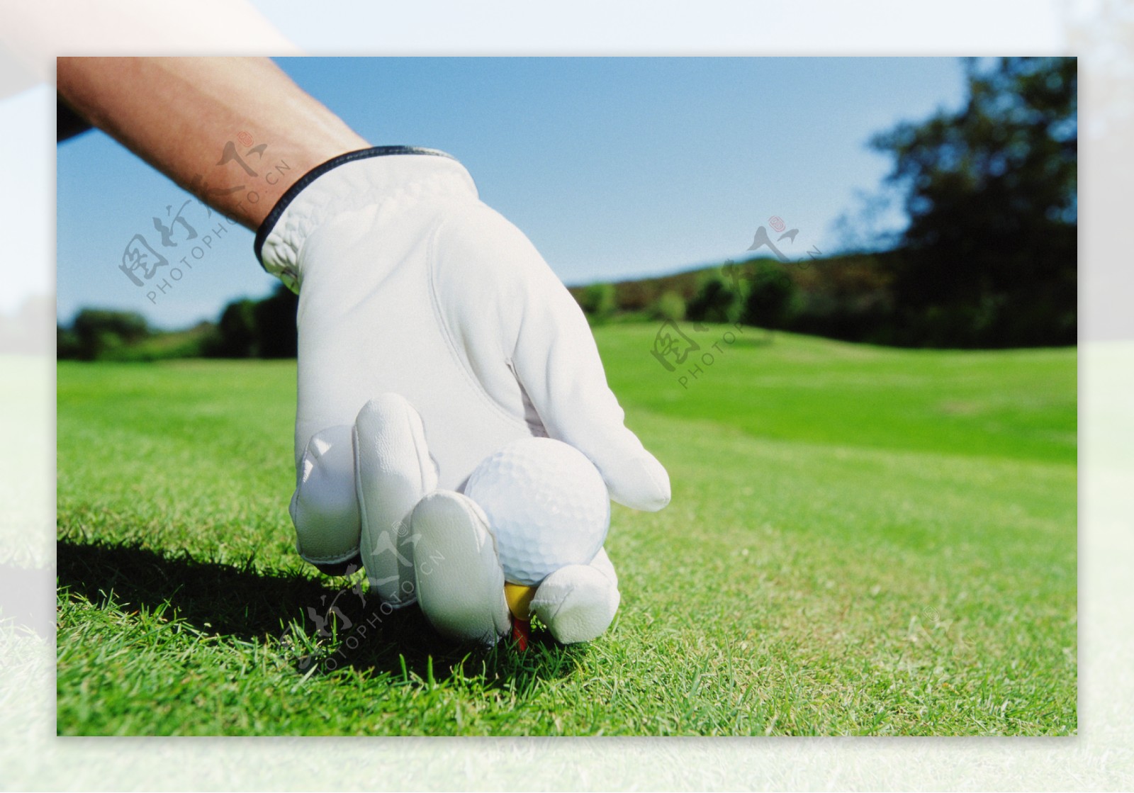 高尔夫户外运动高尔夫球全方位平面设计素材辞典白手套手套