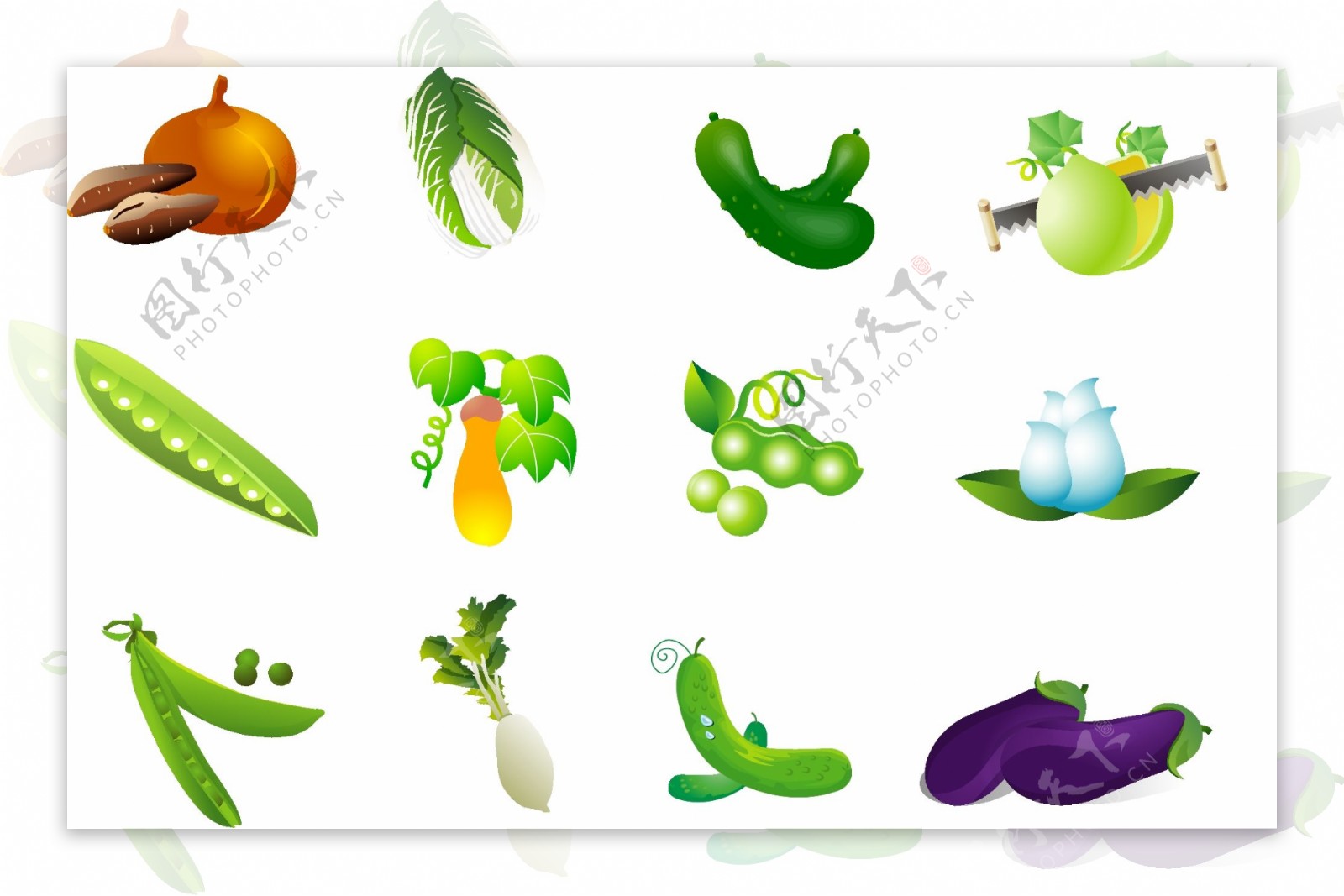 四种蔬菜的剪辑艺术