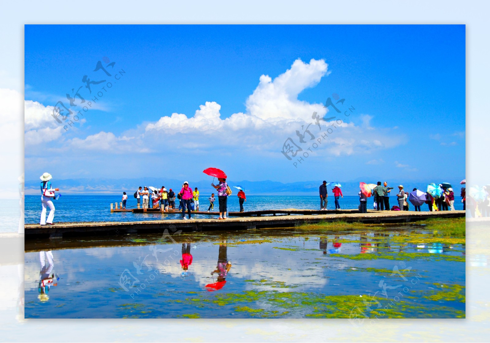 青海湖风光