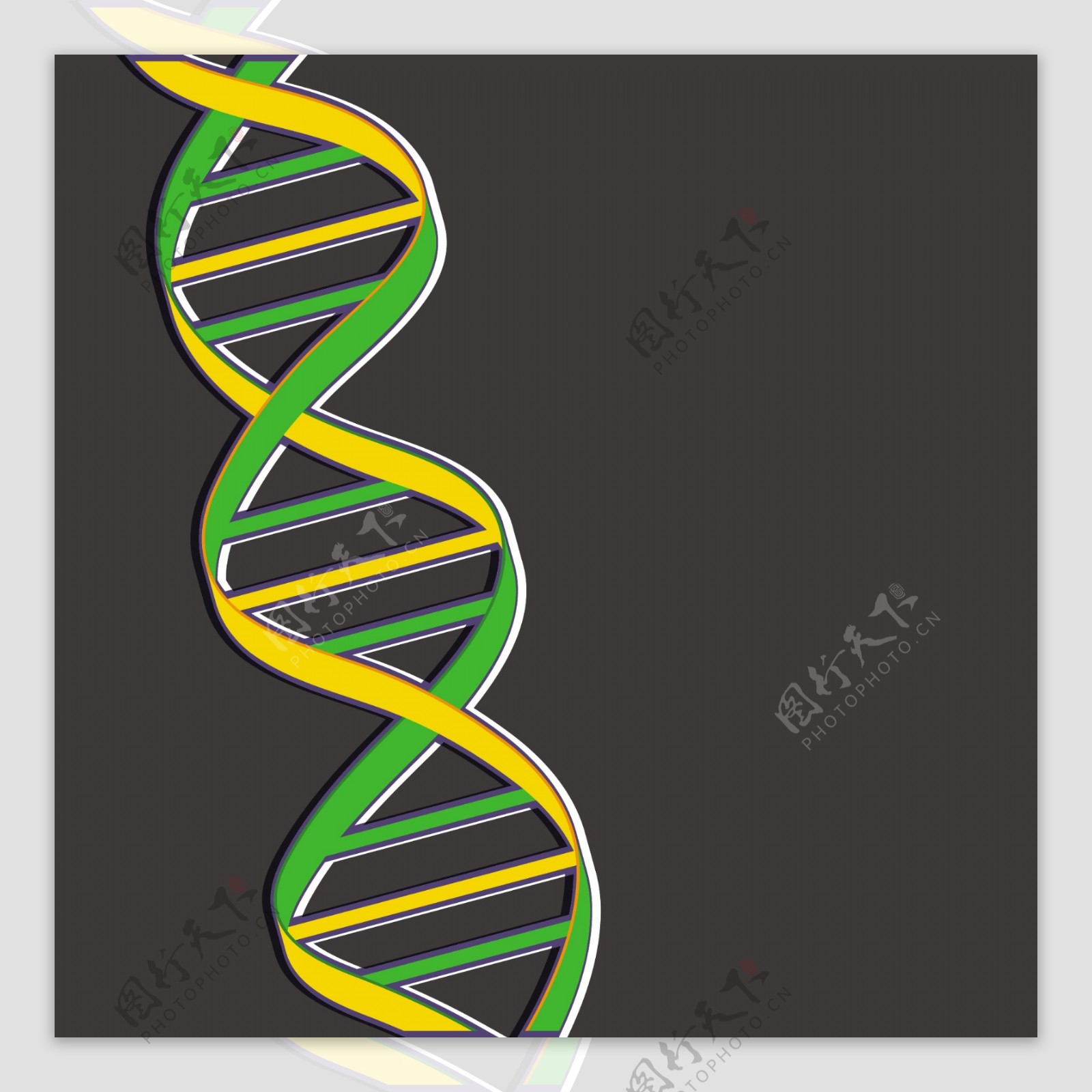 丰富多彩的DNA灰色背景摘要医学概念