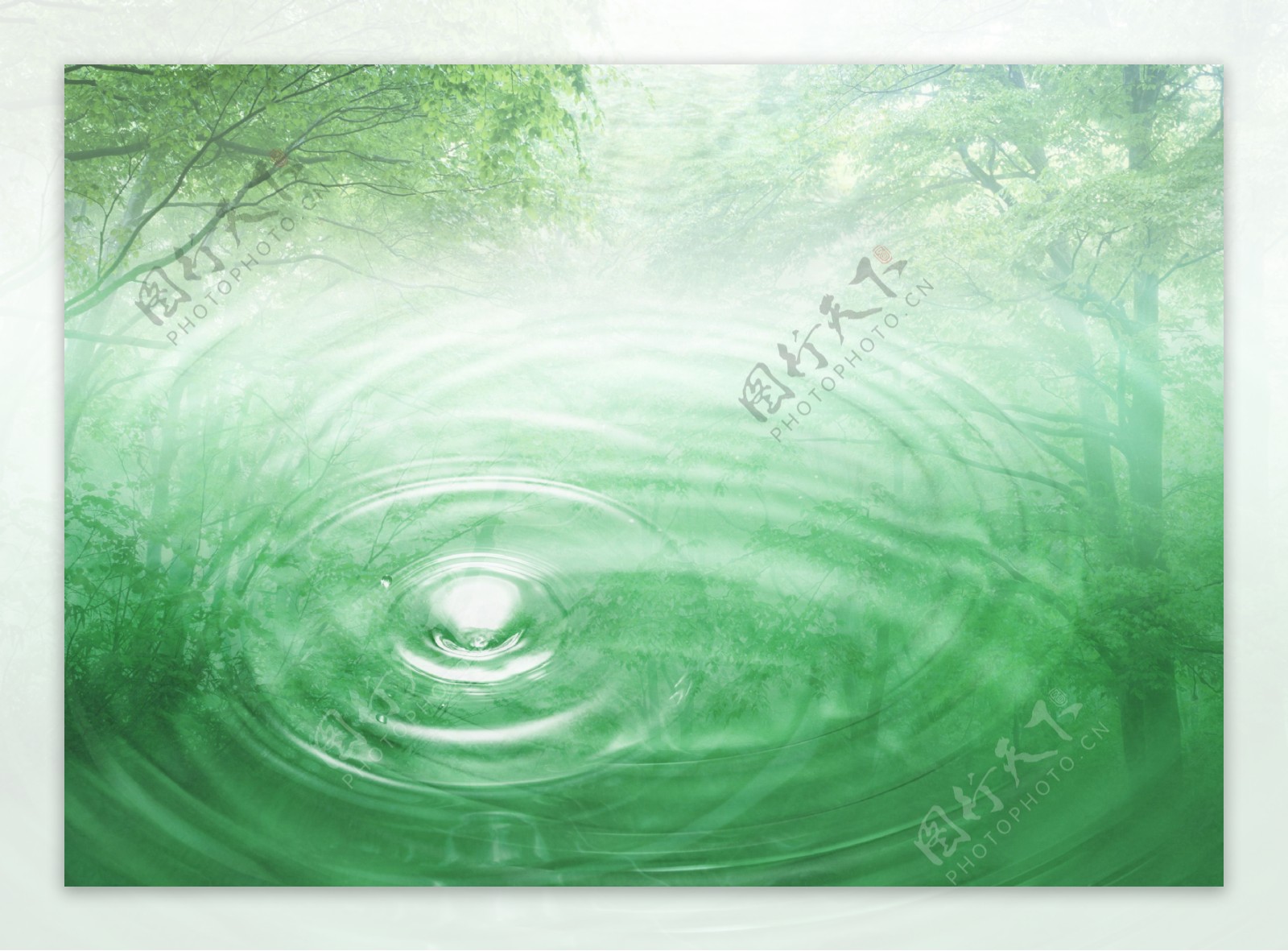 水滴水纹树林图片