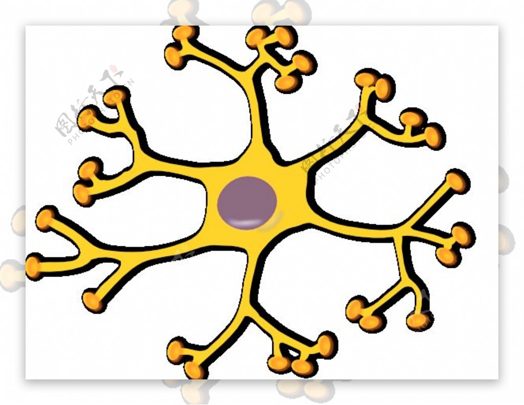 神经元interneuron剪贴画