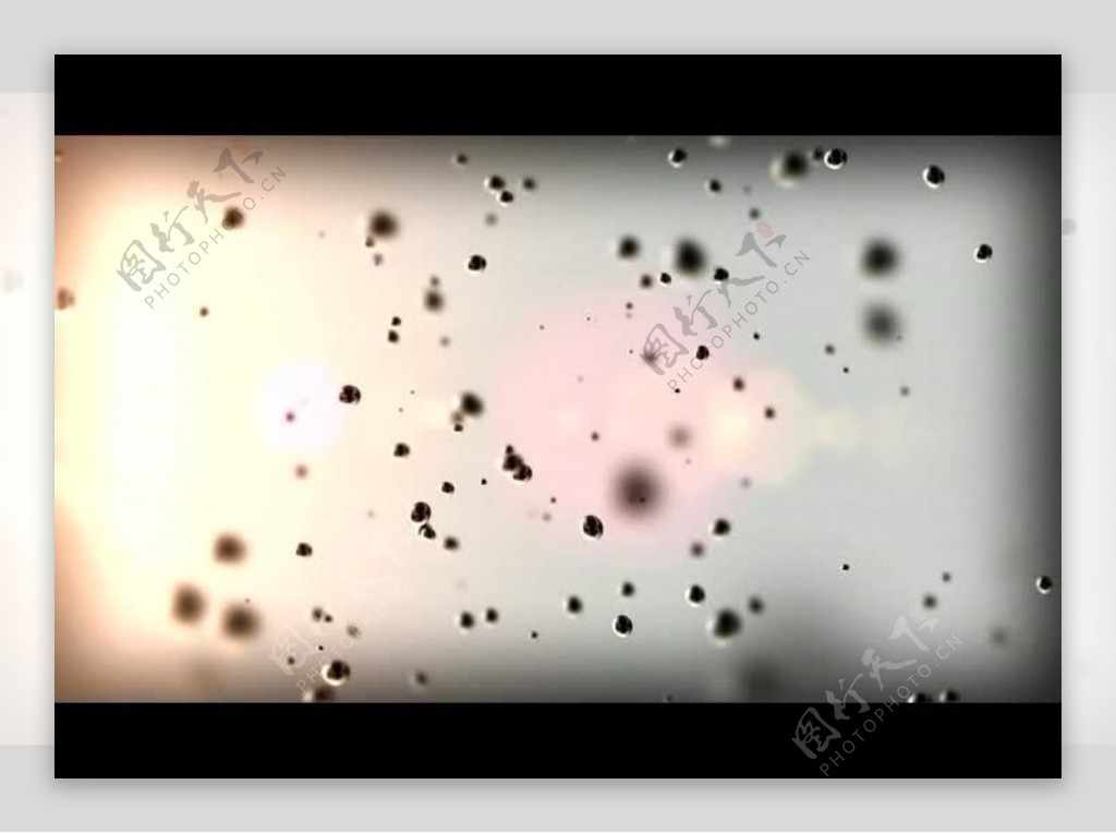 空间粒子视频素材图片