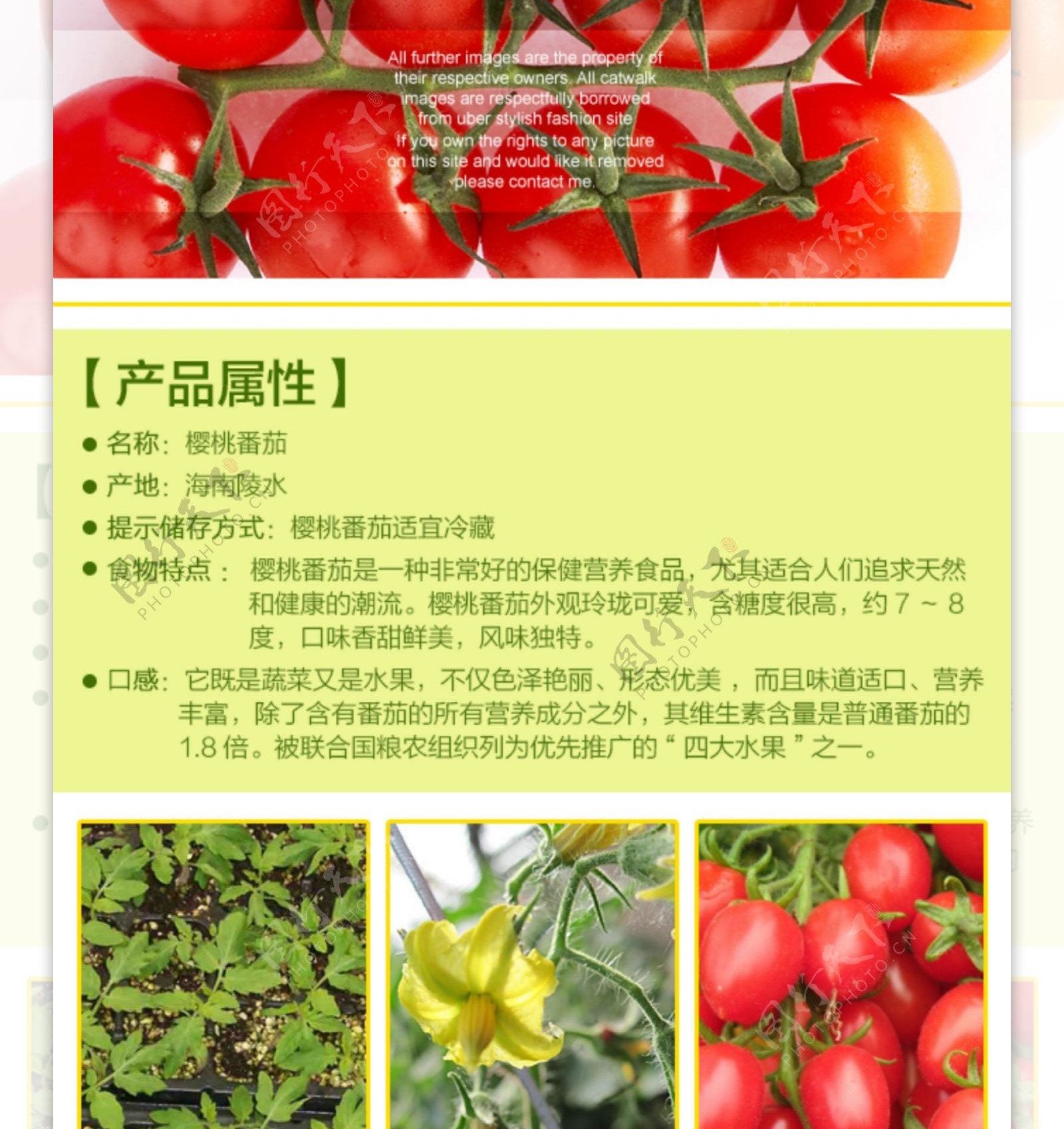 微信水果番茄