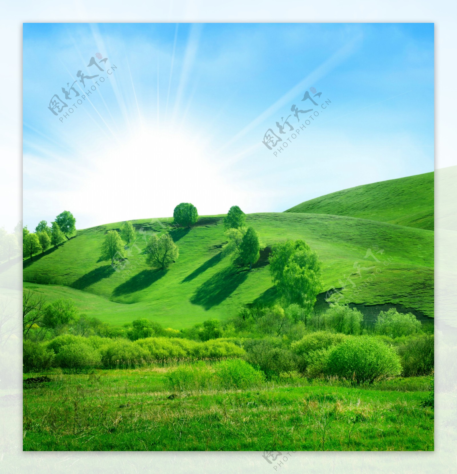绿色高山草原图
