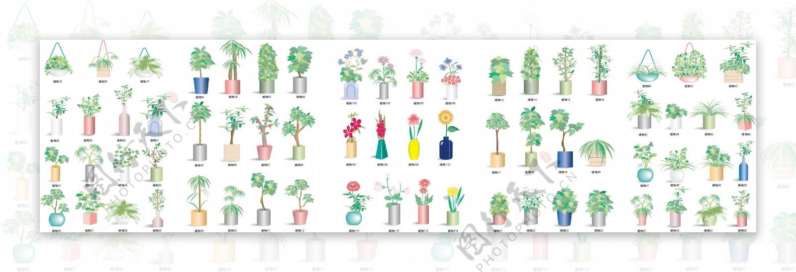 植物花卉元素矢量素材1图片