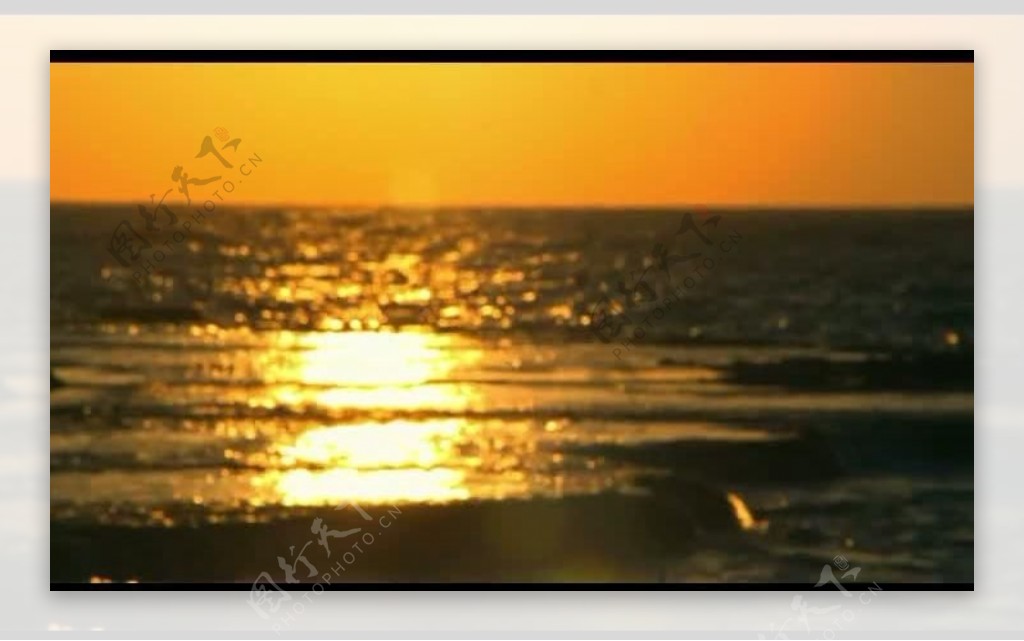海面光效视频素材图片
