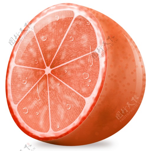 柑橘类水果图标无载体