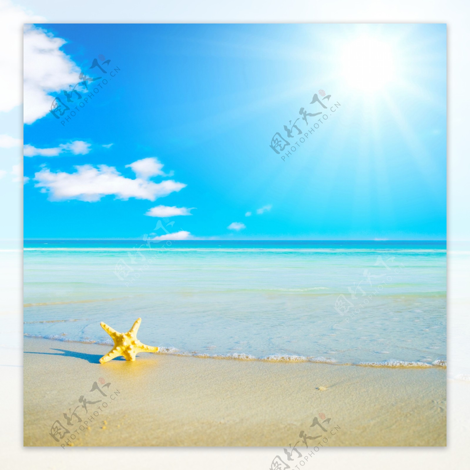蓝天白云海洋沙滩海星图片