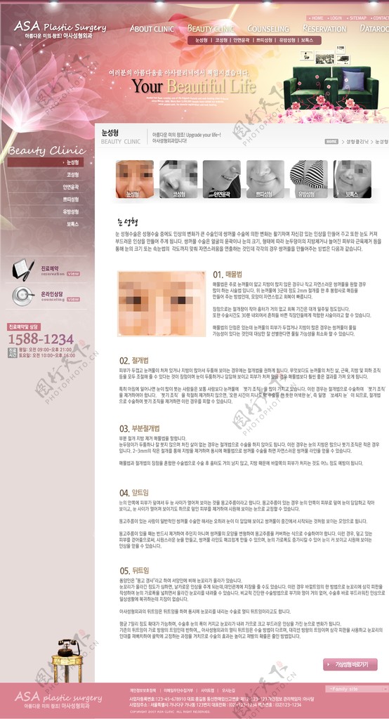 韩国美容网站模板图片
