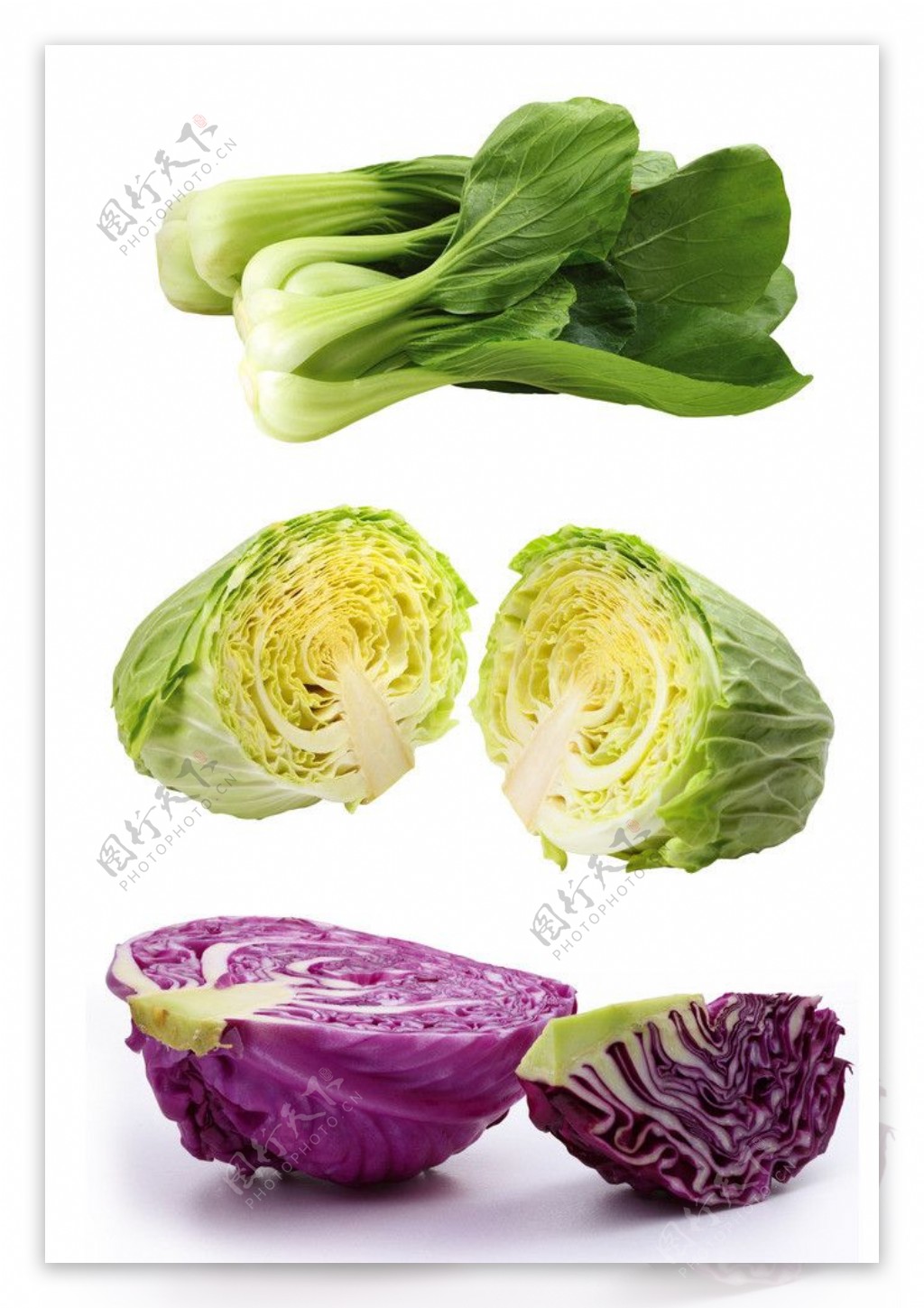 蔬菜图片