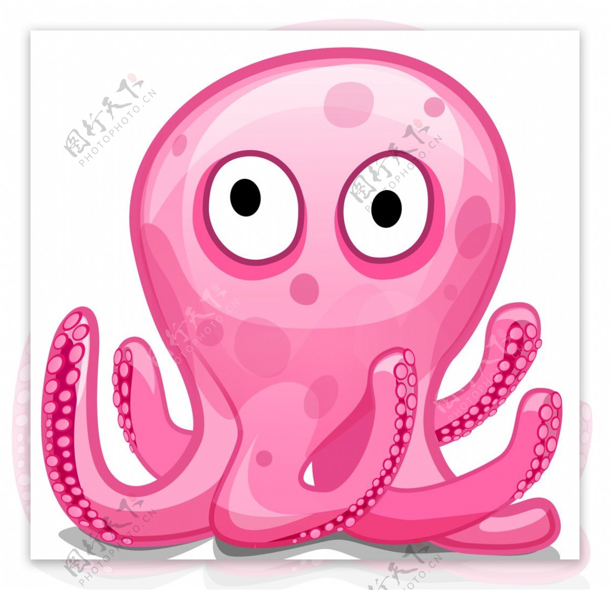 【海洋萌宠】紫色的小章鱼（我就这样看着你，直到你爱上我~）_哔哩哔哩_bilibili