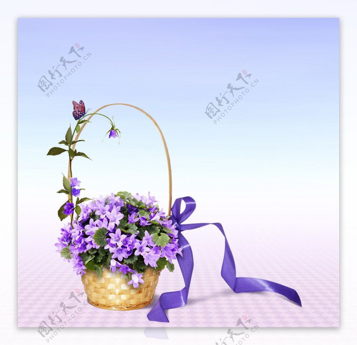紫色婚礼花篮图片