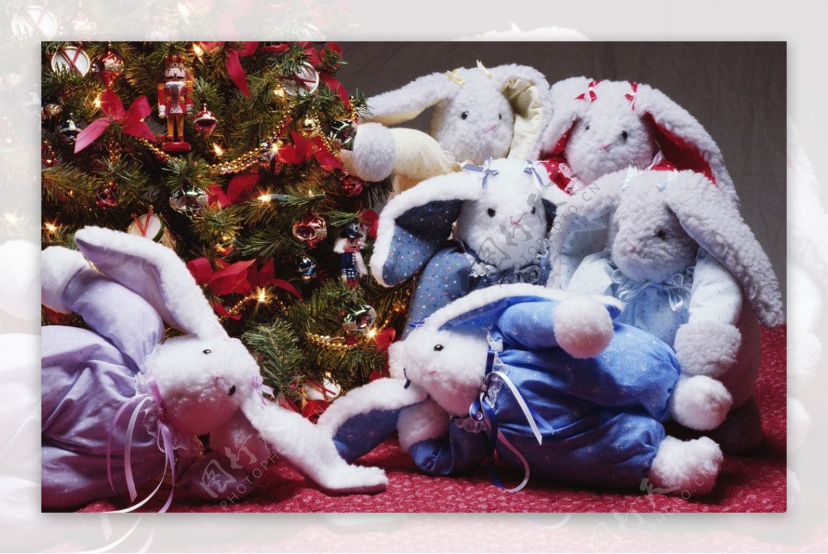 圣诞兔子布偶图片
