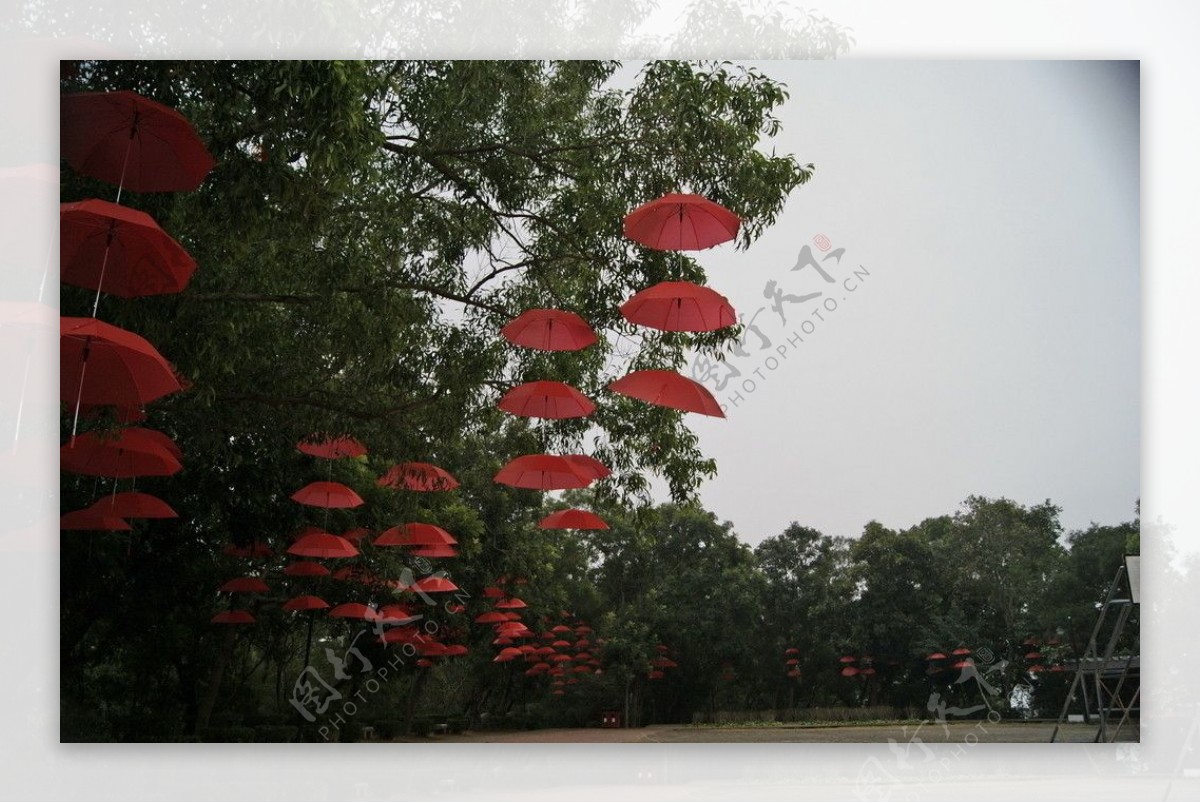 高清晰两把红蓝伞壁纸-欧莱凯设计网