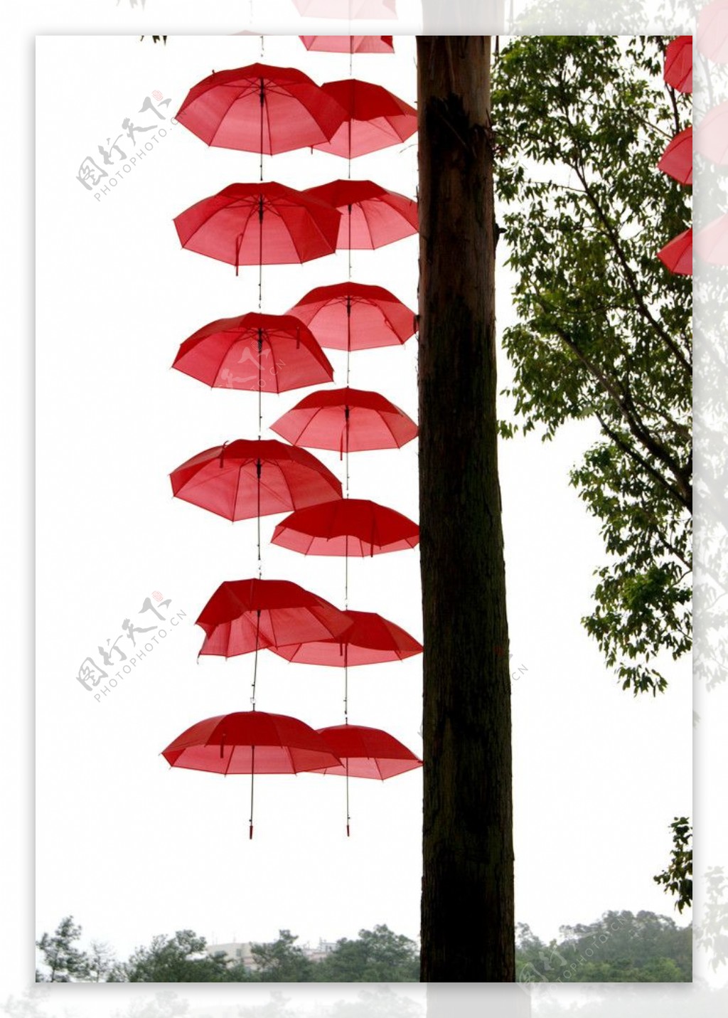 2012春节气氛红伞图片