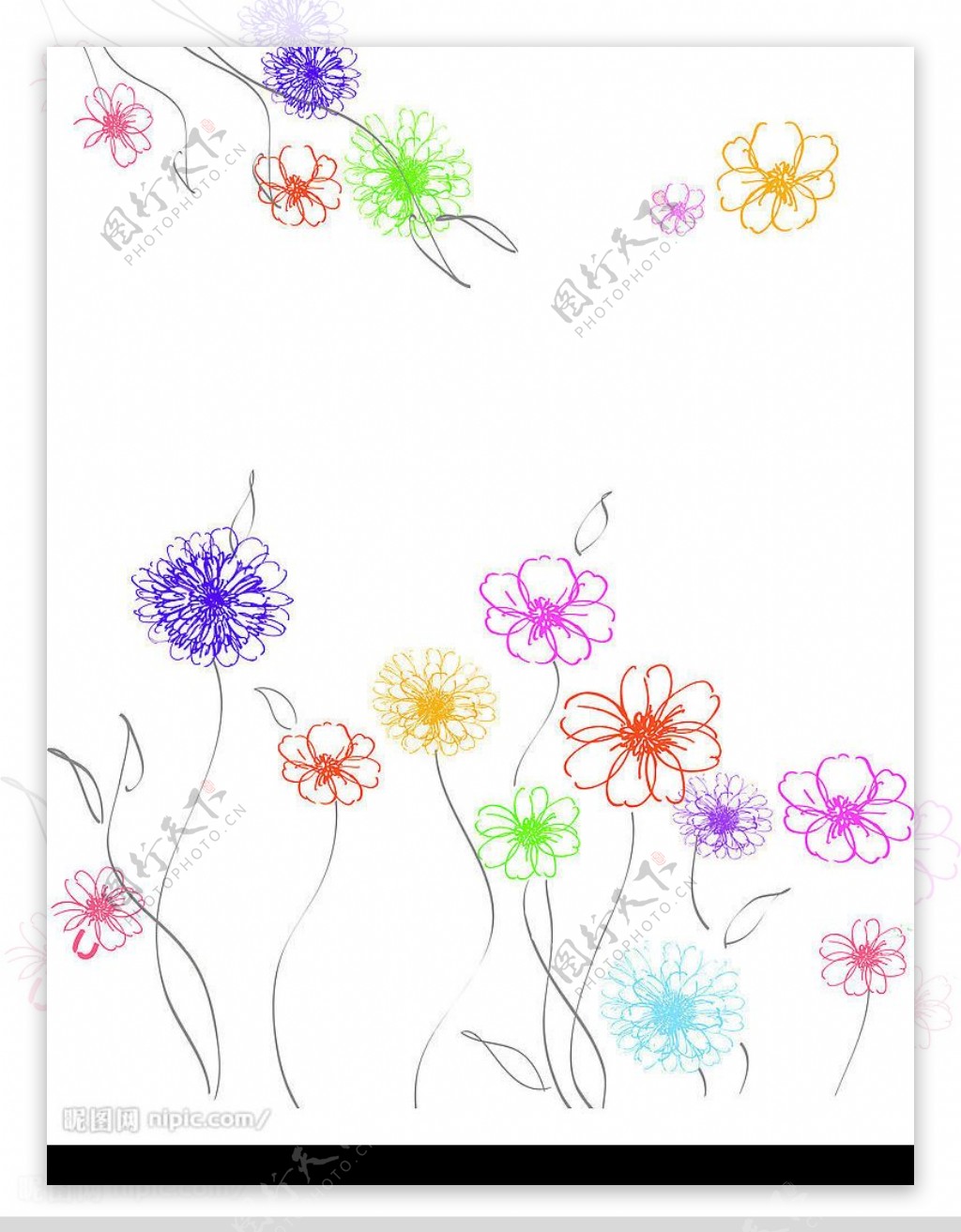 素雅线条菊花图片